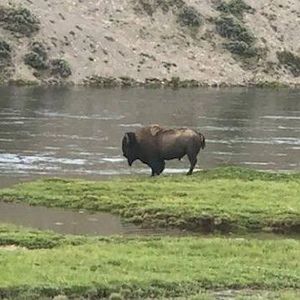 Meet your Posher, Marcy